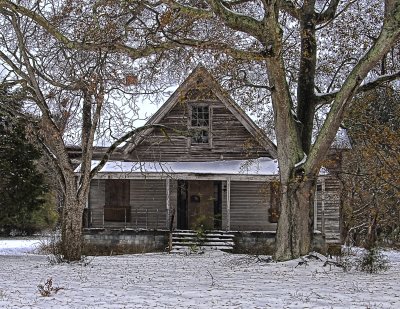 Abandoned Home, Dying Trees & Fallen Snow (Color Version)