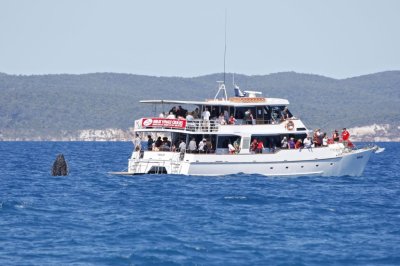 Hervey017.jpg