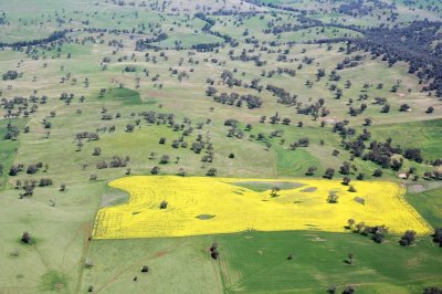 Parkes007.jpg