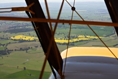 Parkes010.jpg