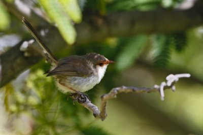 Gardens010.jpg