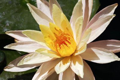 Gardens012.jpg