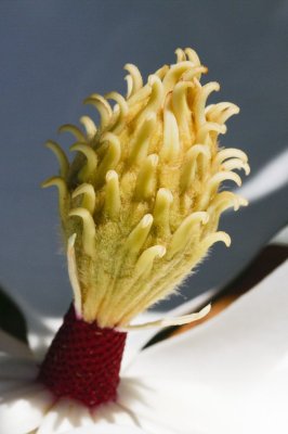 Gardens014.jpg
