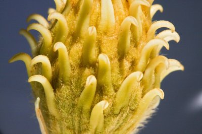 Gardens015.jpg
