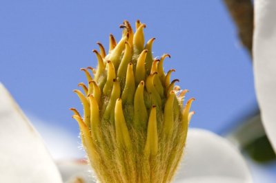 Gardens017.jpg