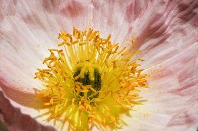 Gardens019.jpg