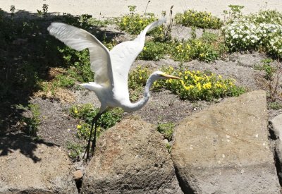 Gardens021.jpg