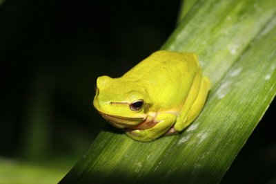 Gardens022.jpg