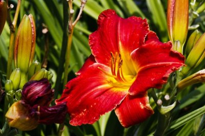 Gardens028.jpg
