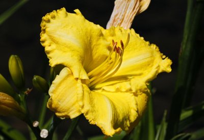 Gardens030.jpg