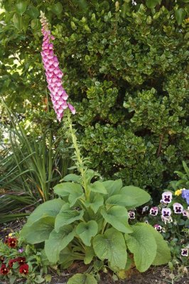 Gardens032.jpg