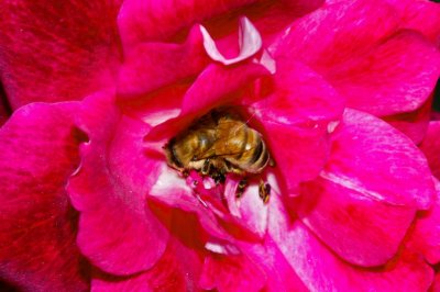 Gardens043.jpg