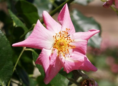 Gardens044.jpg