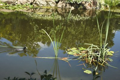 Gardens053.jpg