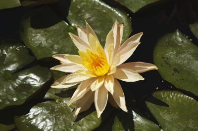 Gardens054.jpg