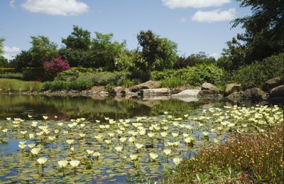 Gardens056.jpg