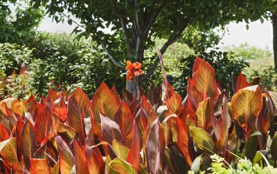 Gardens060.jpg