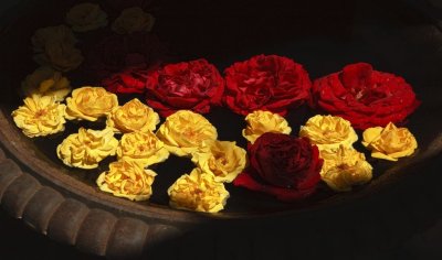 Gardens020.jpg