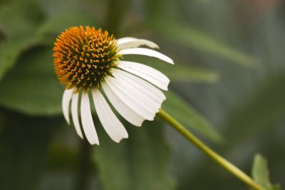Gardens003.jpg