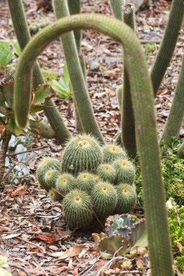 Gardens009.jpg