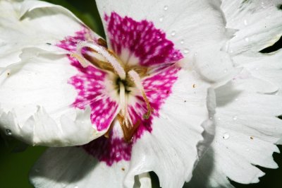 Gardens034.jpg