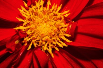 Gardens037.jpg
