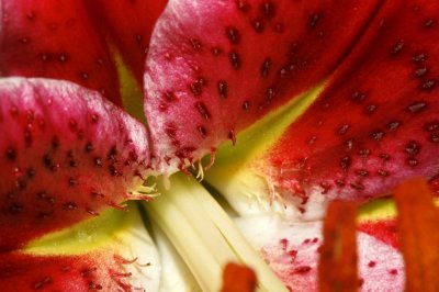 Gardens044.jpg