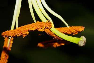 Gardens046.jpg