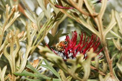 Gardens048.jpg