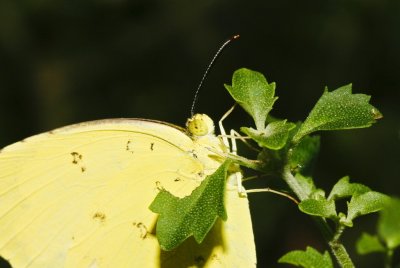 Gardens056.jpg