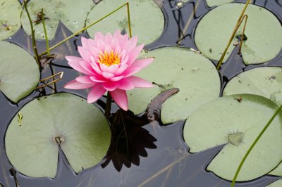 Gardens063.jpg