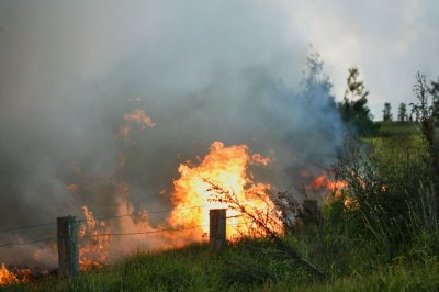 Fire140.jpg