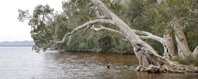 Mungo_Panorama1.jpg