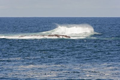 Boat12.jpg