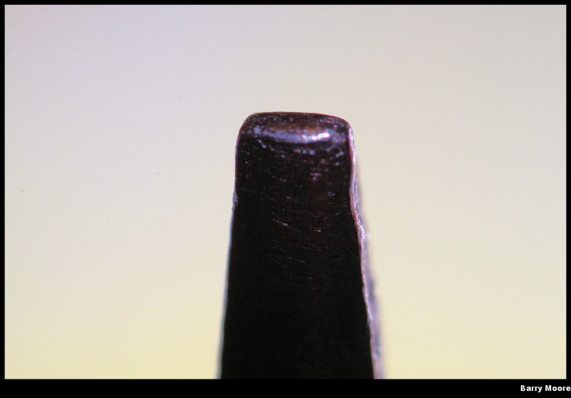 PFAF = Prong From A Fork