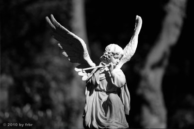 Cemetery Buschey in Hagen III b/w 2010-10-10