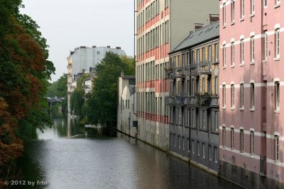 DSF_0835.jpg
