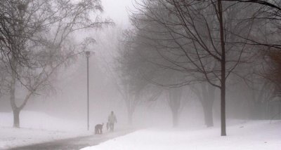 Winter's Fog