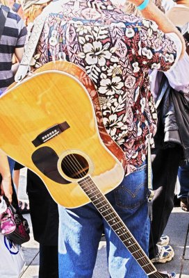 Celebrating the Guitar