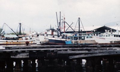 Kingston Harbour