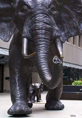 Bronzed Elephant