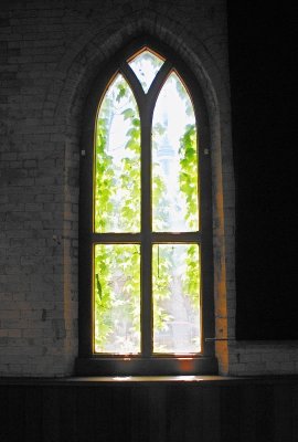 Window Green