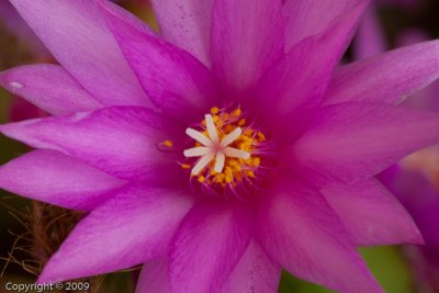 5D2_01284