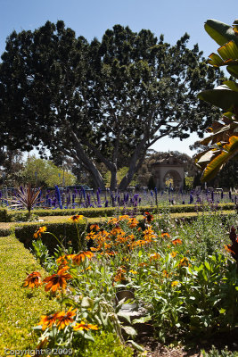 Balboa Park (01292)