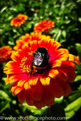 IMG_1250