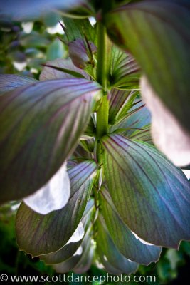 IMG_1257