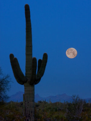 Blue Moon - Picacho, Arizona