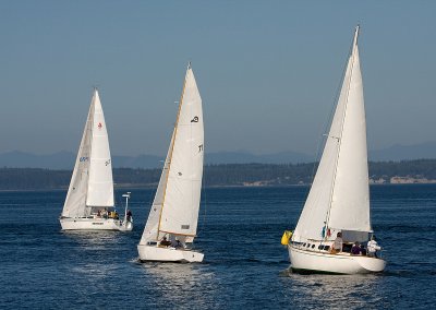 Sailboats on Puget Sound