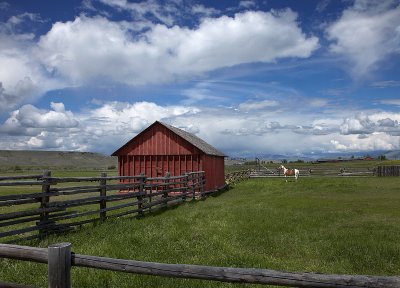 Montana Pastoral Scene