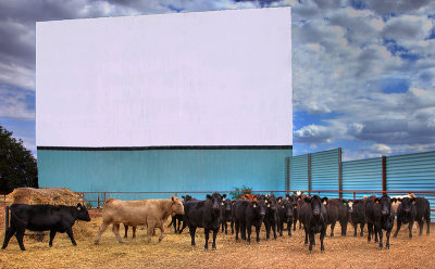 Waiting for the Movie to Start
